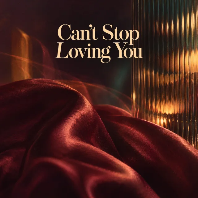 Can't Stop Lovin'的封面